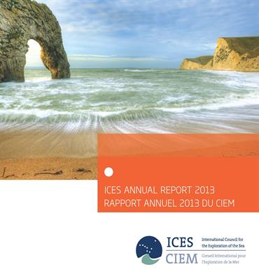 ICES Annual Report 2013 front cover beach